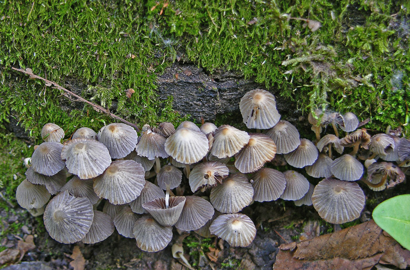 Ritrovamenti sabato 14 aprile.